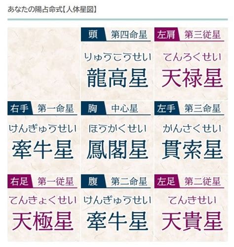 年運表|算命学｜完全無料「人体星図から導く」あなたの性格 